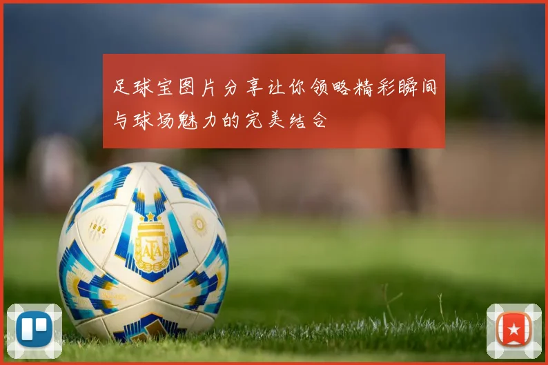 足球宝图片分享让你领略精彩瞬间与球场魅力的完美结合