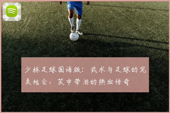 少林足球国语版：武术与足球的完美结合，笑中带泪的热血传奇